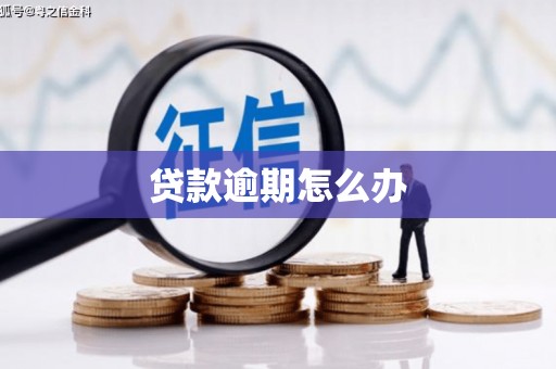 阿荣旗贷款逾期怎么办