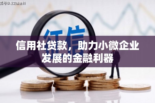 阿荣旗信用社贷款，助力小微企业发展的金融利器