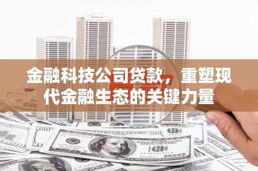阿荣旗金融科技公司贷款，重塑现代金融生态的关键力量