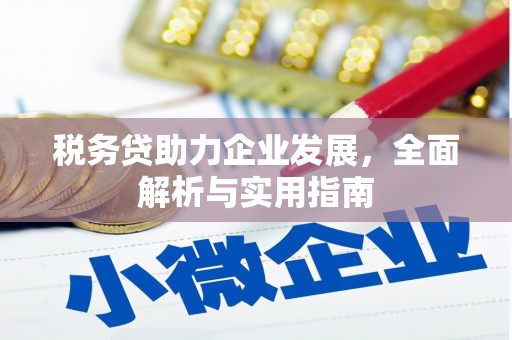 阿荣旗税务贷助力企业发展，全面解析与实用指南