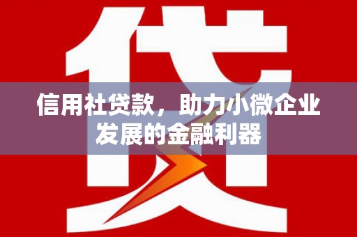 阿荣旗信用社贷款，助力小微企业发展的金融利器