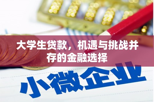 阿荣旗大学生贷款，机遇与挑战并存的金融选择