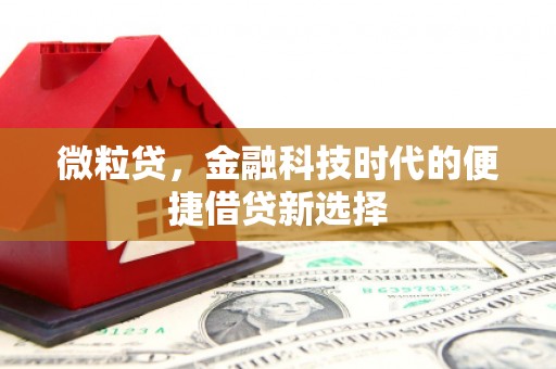 阿荣旗微粒贷，金融科技时代的便捷借贷新选择