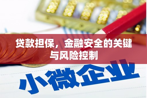 阿荣旗贷款担保，金融安全的关键与风险控制