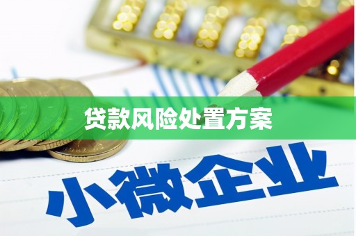 阿荣旗贷款风险处置方案