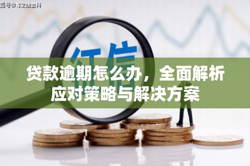 阿荣旗贷款逾期怎么办，全面解析应对策略与解决方案